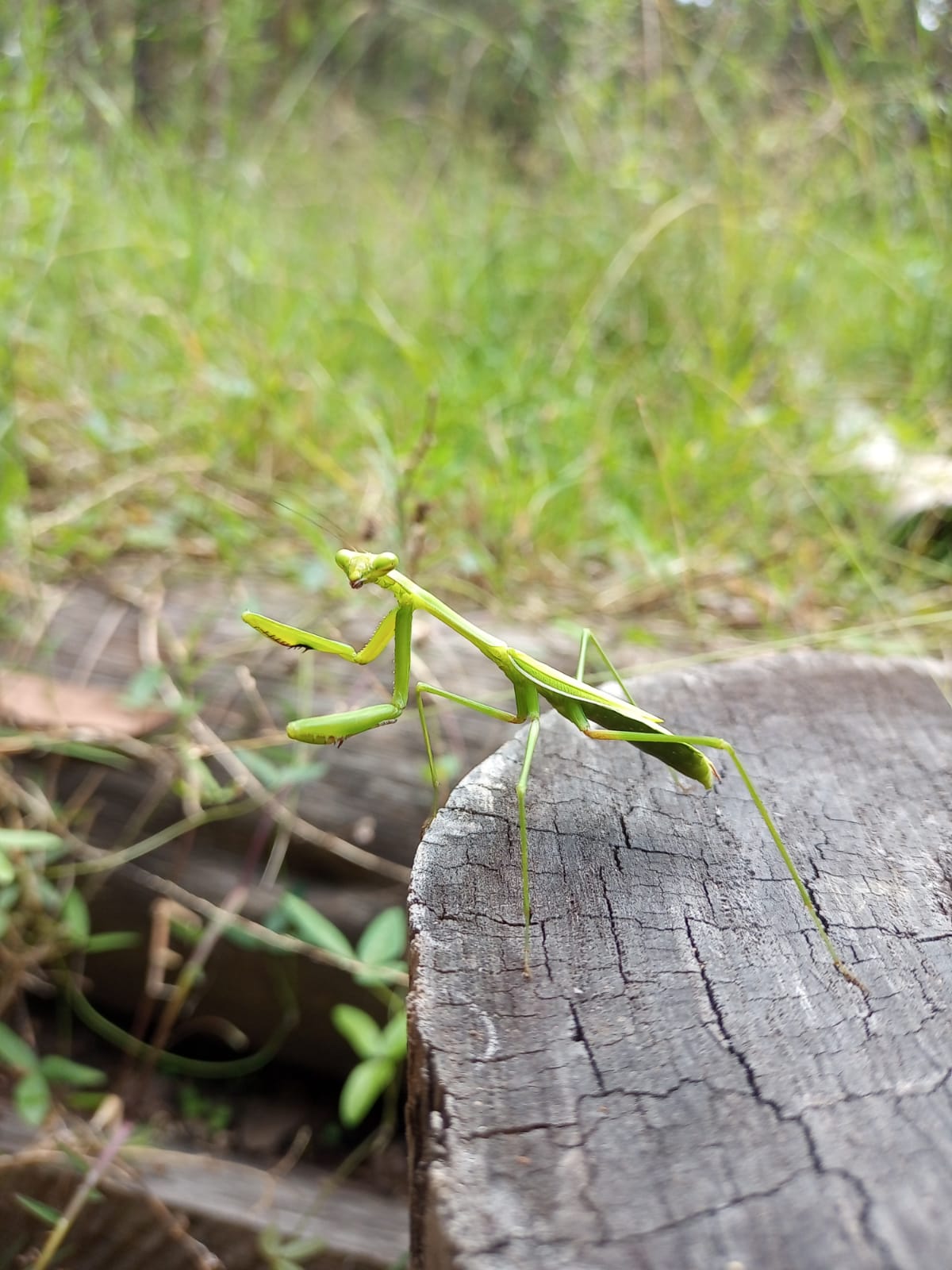 0031D495-EC32-435E-8395-DF288FA50653