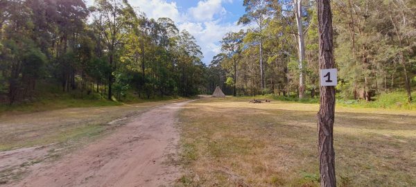 3115D6EA-B8A3-4E0C-AF76-D1ABF2CFE5A9