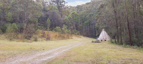 83A697BC-4A93-4DCC-8220-A3E13B132242