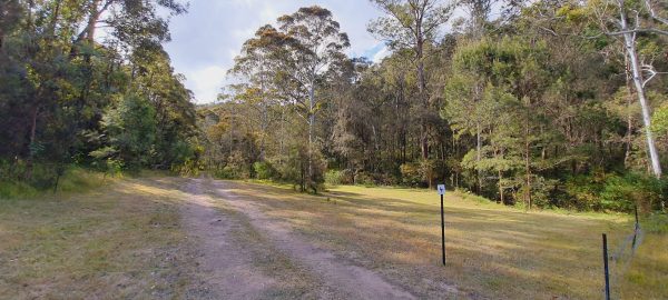 9065FBB1-01BB-497C-A0F2-F70581AFD542