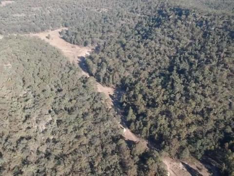 CC8D1907-8B8A-4E61-9111-F3F5CCCE8627