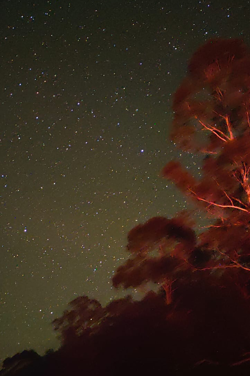 8C655F97-4940-4BE9-B83F-9EF868EB0F52 (1)