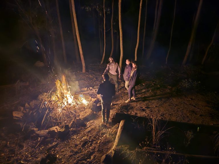 0f22fb11-6dd7-42a1-87cb-9b32f85b656e