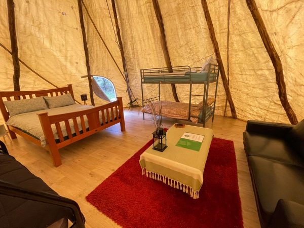 06d30b0d-298f-457e-9a69-cff75351ae26