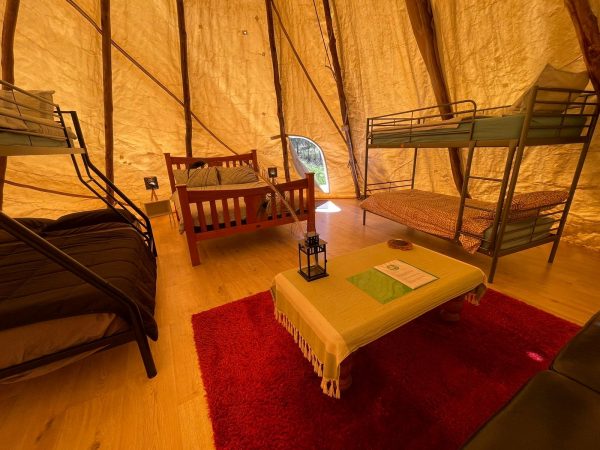 c018ca57-e784-497d-929e-0375bb3a25a2